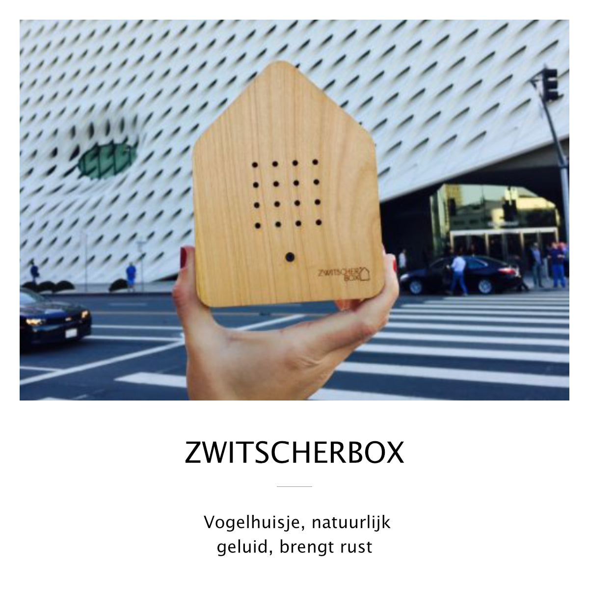 Zwitscherbox Hout - Verschillende versies beschikbaar